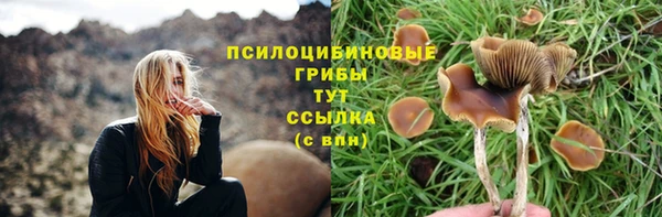 дживик Липки
