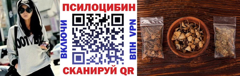 Галлюциногенные грибы мицелий  Купить где  Ивангород 